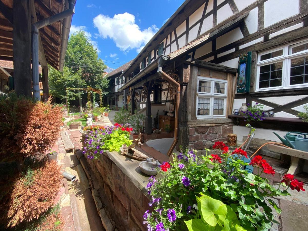 La Ferme De Grand Mere Furchhausen Экстерьер фото